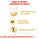 Royal Canin Hondenvoer Golden Retriever Adult 12 kg