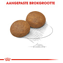 Royal Canin Hondenvoer Maxi Adult 5+ 15 kg