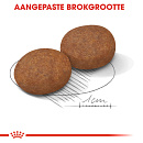 Royal Canin Hondenvoer Medium Adult 7+ 15 kg