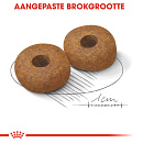 Royal Canin Hondenvoer Medium Ageing 10+<br> 15 kg