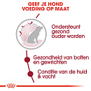 Royal Canin Hondenvoer Medium Ageing 10+<br> 15 kg