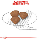 Royal Canin Hondenvoer Mini <br>Puppy 8 kg