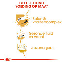 Royal Canin Hondenvoer Jack Russell Adult 3 kg