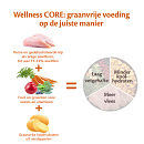 Wellness CORE hondenvoer Large Breed Adult 10 + 2 kg