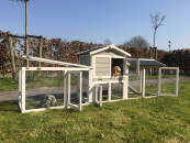 Konijnenhok Avoriaz + Extra Ren