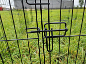 Ren Gijs met Puntdak