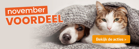 slider november 2025 475x170