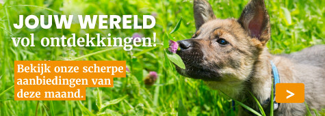 slider april 2026 475x170