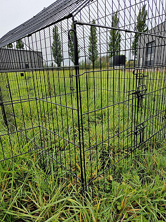 Ren Gijs met Puntdak