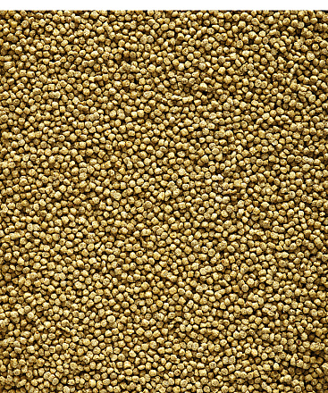 Versele-Laga NutriBird C19 Original 3 kg