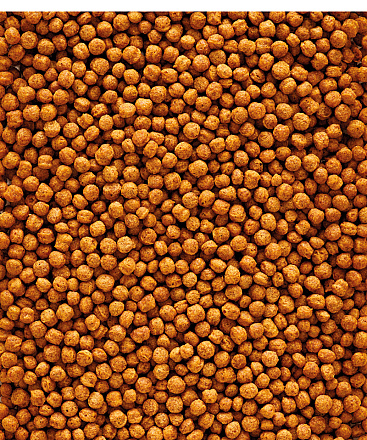 Versele-Laga <br>NutriBird F16 10 kg