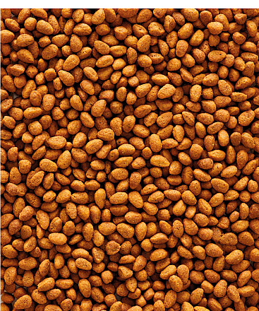 Versele-Laga NutriBird G14 Original Grote Parkiet 1 kg