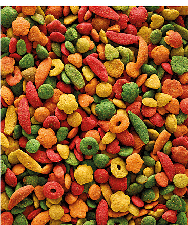 Versele-Laga NutriBird P19 Tropical 10 kg