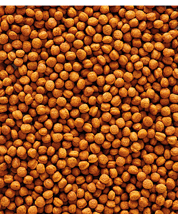 Versele-Laga <br>NutriBird T16 700 gr