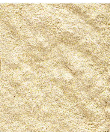 Versele-Laga NutriBird Handmix Opfokvoer 500 gr