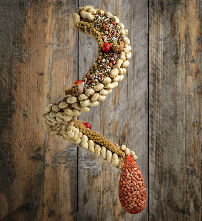 Voederslinger met pindanet