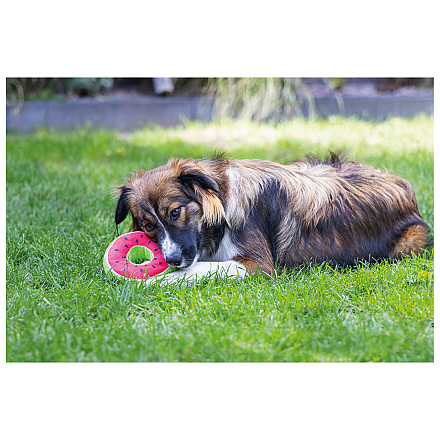 Beeztees Hondenspeelgoed Fruity Donuts Assorti