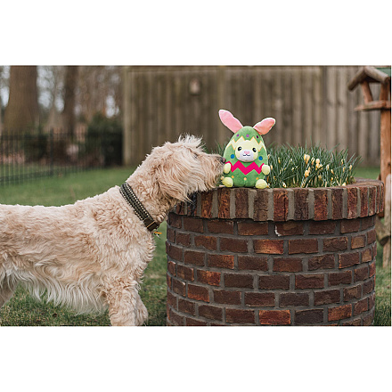 Beeztees hondenspeelgoed Konijnenei Titi