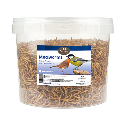 Deli Nature meelwormen 700 gr