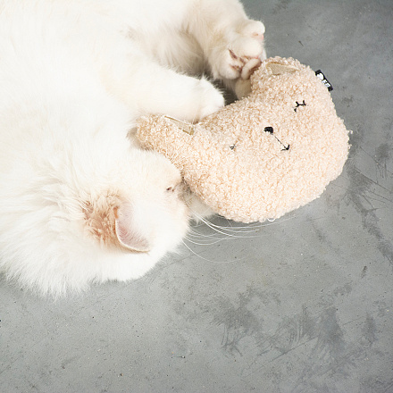 D&D I Love Happy Cats Trappelkussen Zara Gebroken Wit