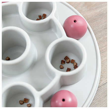 TRIXIE cat activity Pentagon