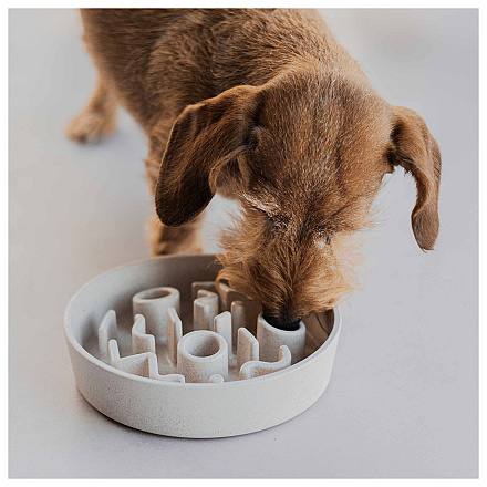 District 70 Slow Feeder Merengue