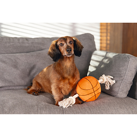 Beeztees Basketbal met Touw