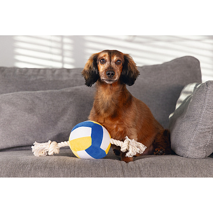 Beeztees Volleybal met Touw