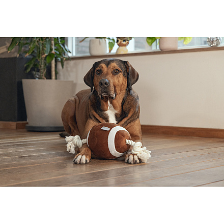 Beeztees Rugbybal met Touw