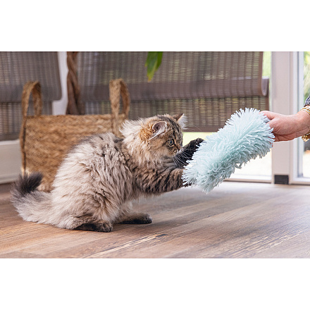 Beeztees Kittenspeelgoed Kicker Hailey Groen