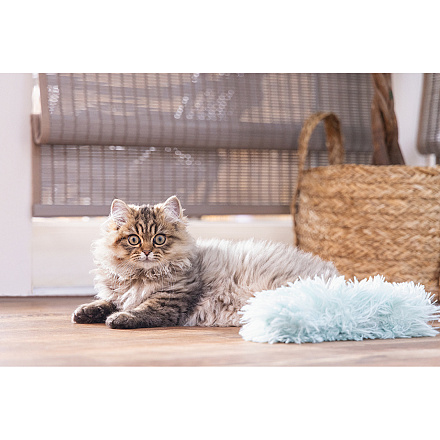 Beeztees Kittenspeelgoed Kicker Hailey Groen