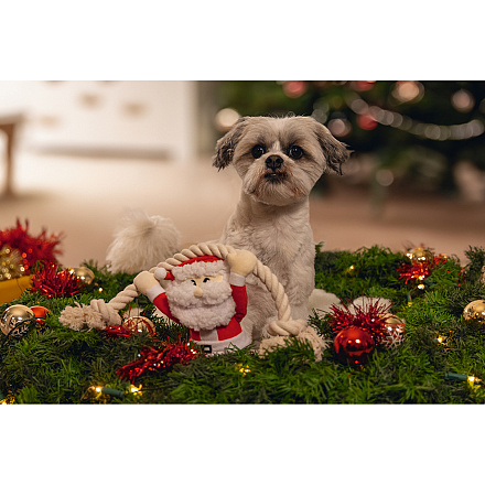 Beeztees Knuffel Kerstman met Touw