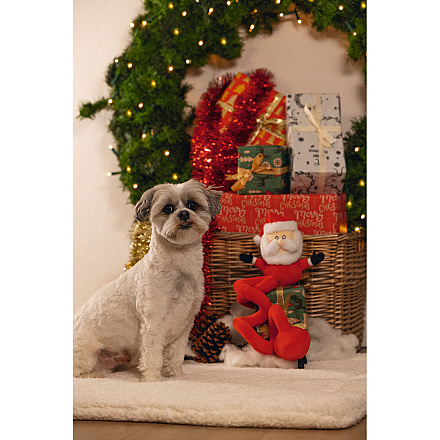 Beeztees Hondenspeelgoed Kerstman Spiraal