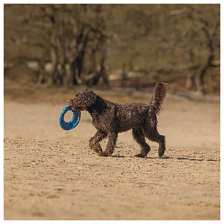 Beeztees Fetch Foam Frisbee Gisa Blauw