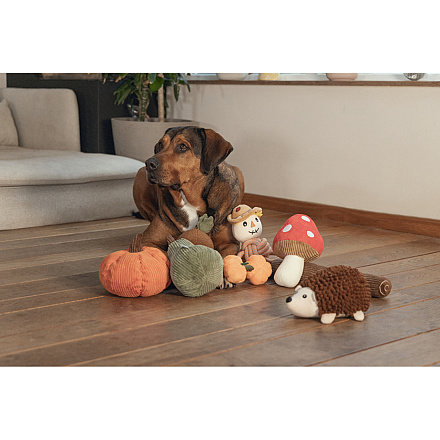 Beeztees Hondenspeelgoed Pompoen Koba