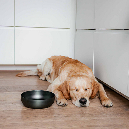 District 70 Voer- en Drinkbak Royal Antraciet