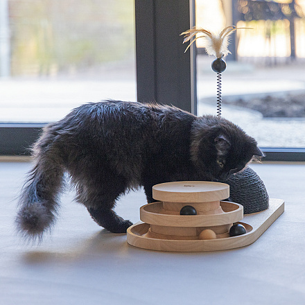 Designed by Lotte Krab- en Speeltoren Maia