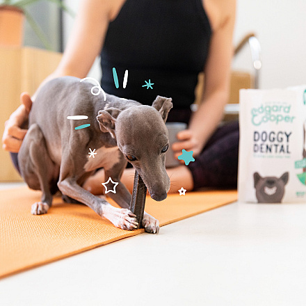 Edgard & Cooper Doggy Dental Appel en Eucalyptus Small 7 st