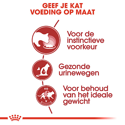 Royal Canin Kattenvoer Instinctive in Jelly <br>12 x 85 gr