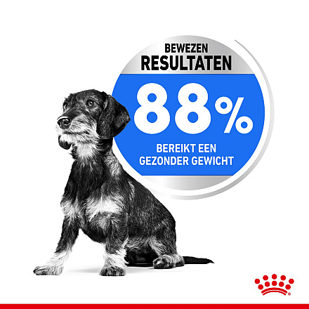 Royal Canin Hondenvoer Light Weight Care Mini 8 kg