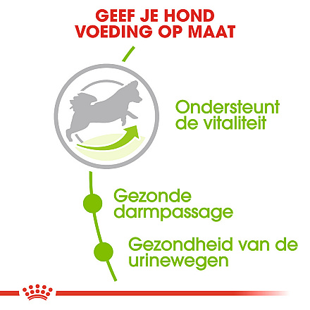 Royal Canin Hondenvoer<br> X-Small Adult 8+ 3 kg