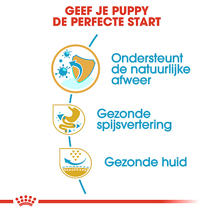 Royal Canin Hondenvoer French Bulldog Puppy 3 kg