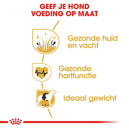 Royal Canin Hondenvoer Golden Retriever Adult 12 kg