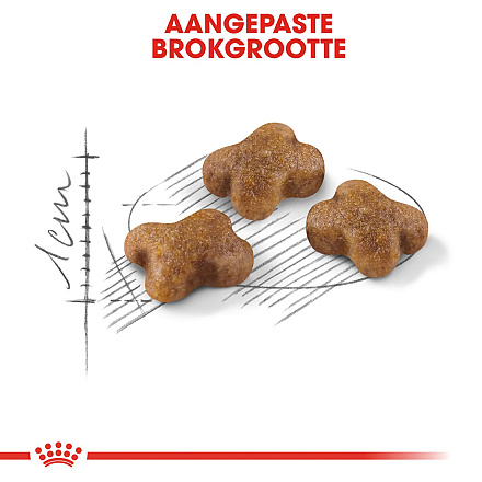 Royal Canin Kattenvoer Kitten 4 kg