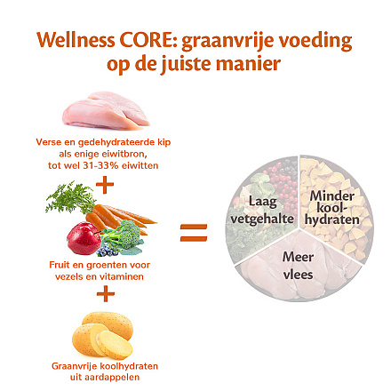 Wellness CORE hondenvoer Large Breed Adult 10 + 2 kg