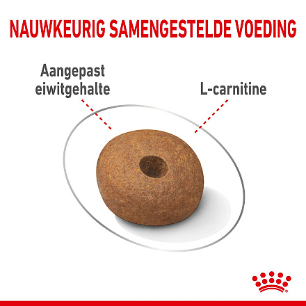 Royal Canin Hondenvoer Light Weight Care Medium 12 kg