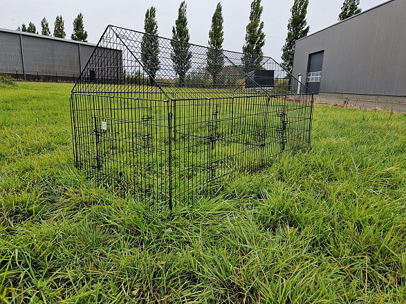 Ren Gijs met Puntdak