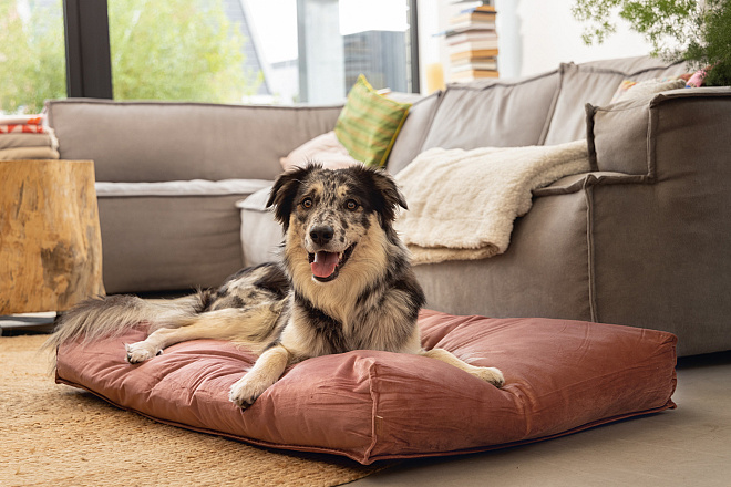 Designed by Lotte ligkussen Nalino roze