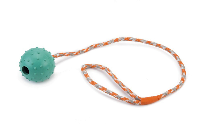 Beeztees speelbal met bel aan koord mint