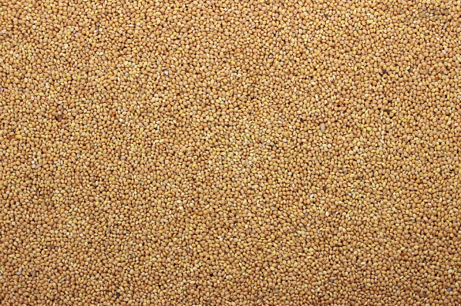 Milletzaad Geel 20 kg